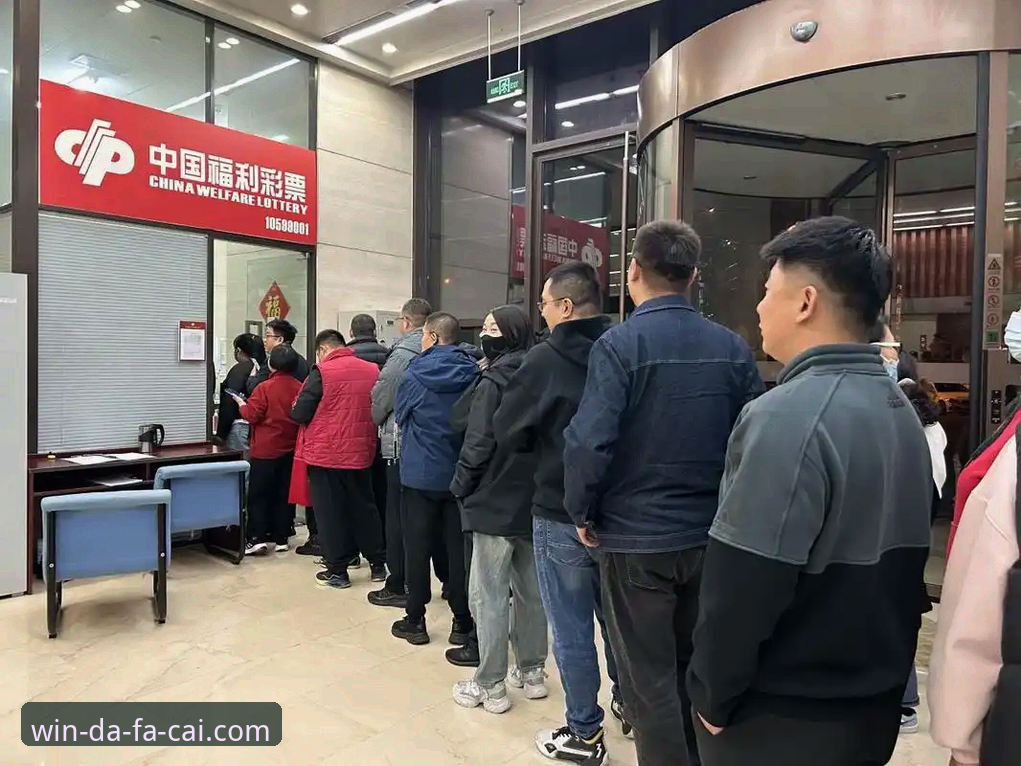 大发彩票实时开奖查询实用指南：从数据分析到资金保障的进阶技巧