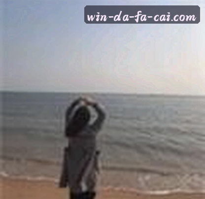 刚毕业的 小美